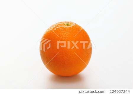 橙 124037244