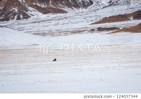 Horseman in the distance on a snowy mountain plateau. Horseman in the distance on a snowy mountain plateau. 124037344