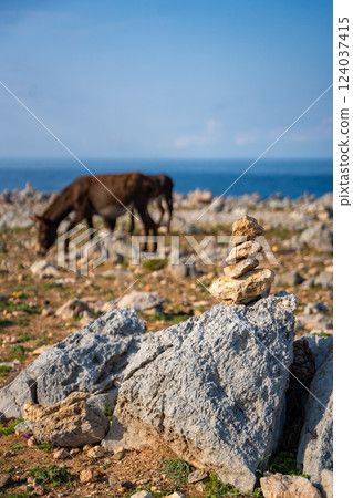 Two donkeys stand among rocky terrain with small stone cairns at the northeasternmost point of Cyprus. The image represents wildlife, travel, and the unique landscape of the Karpas Peninsula Two donkeys stand among rocky terrain with small stone cairns at the northeasternmost point of Cyprus. The image represents wildlife, travel, and the unique landscape of the Karpas Peninsula 124037415