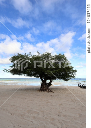 美麗的熱帶海灘和天藍色的天空 124037433