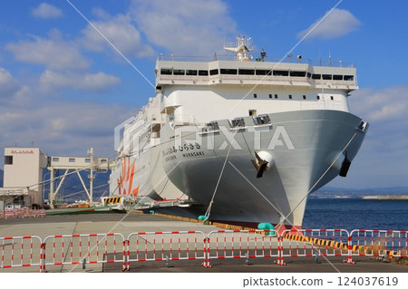 向日葵及別府國際觀光港 124037619