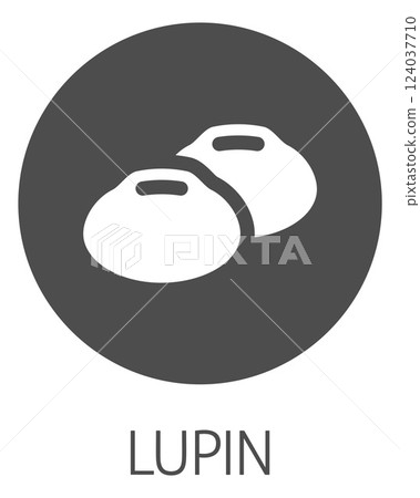 Lupin Bean Legume Food Icon Concept 124037710