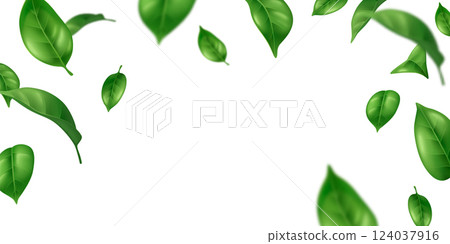 Realistic flying green leaves frame 124037916