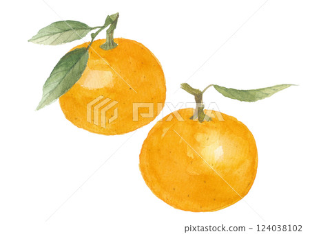 兩個水彩橙子 124038102