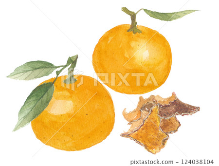 Watercolor orange, orange peel, spruce 124038104