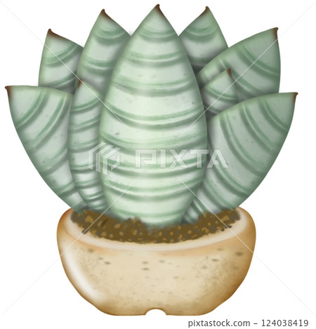 Cactus plants cute with hand drawn cartoon style, illustration set. 124038419