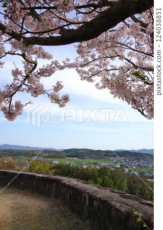 從兵庫縣洲本市日落公園五色和夕陽丘公園眺望鳥居浦 從兵庫縣洲本市日落公園五色和夕陽丘公園眺望鳥居浦 124038851