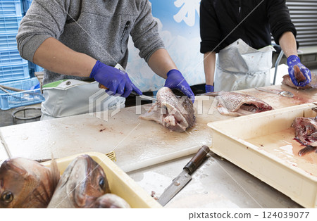 把鯛魚分開 124039077