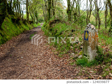 Road sign of Camino de Santiago Road sign of Camino de Santiago 124039877