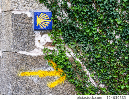 Road sign of Camino de Santiago 124039883