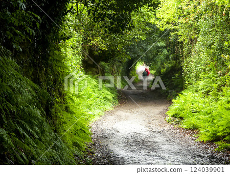 Two backpackers on a dirt road 124039901