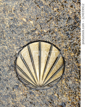 Santiago's shell on the pavement Santiago's shell on the pavement 124039912
