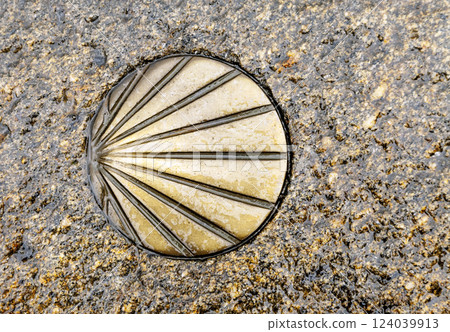 Santiago's shell on the pavement 124039913