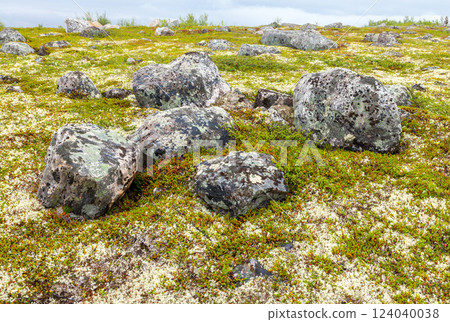 Tundra landscape in Murmansk region 124040038