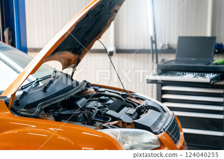 Car computer diagnostics in car service 124040255