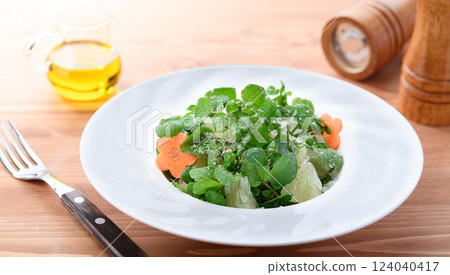 Stylish Watercress and Pomelo Salad Stylish Watercress and Pomelo Salad 124040417