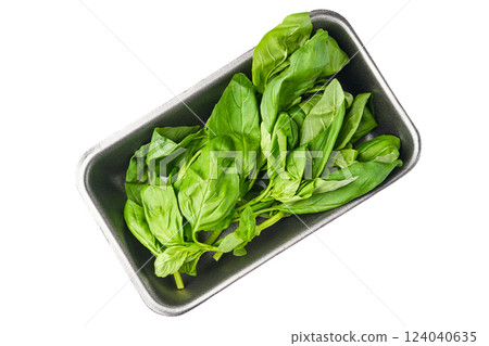Fresh basil leaves in a black container on a white background 124040635