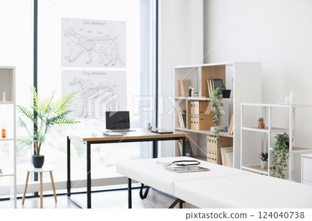 Bright and modern veterinary examination room with posters of animal anatomy, examination table, bookshelves, and decor. Organized space suitable for professional and comfortable animal treatment. Bright and modern veterinary examination room with posters of animal anatomy, examination table, bookshelves, and decor. Organized space suitable for professional and comfortable animal treatment. 124040738