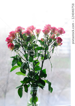 Pink roses in a glass vase by a window. Beautiful spring bouquet. 124040758