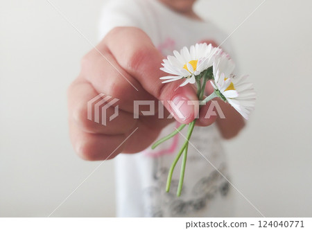 A child offering freshly picked daisies, capturing a moment of innocence and joy in a simple indoor setting A child offering freshly picked daisies, capturing a moment of innocence and joy in a simple indoor setting 124040771