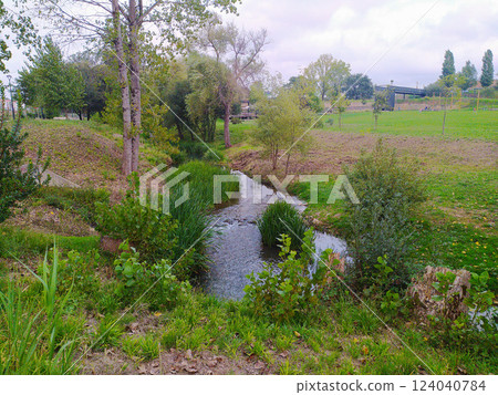 Serenity of a flowing creek surrounded by lush greenery on a cloudy day in a tranquil rural setting Serenity of a flowing creek surrounded by lush greenery on a cloudy day in a tranquil rural setting 124040784
