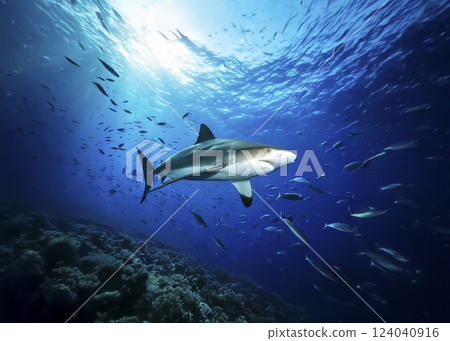 Shark AI generated image 124040916