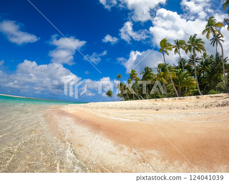 Idyllic motu on Tikehau Atoll, French Polynesia, surrounded by turquoise waters Idyllic motu on Tikehau Atoll, French Polynesia, surrounded by turquoise waters 124041039