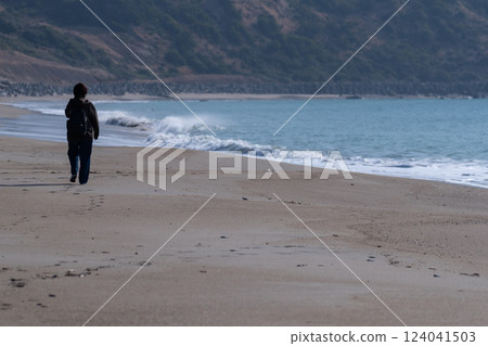 Walking on a sandy beach 124041503