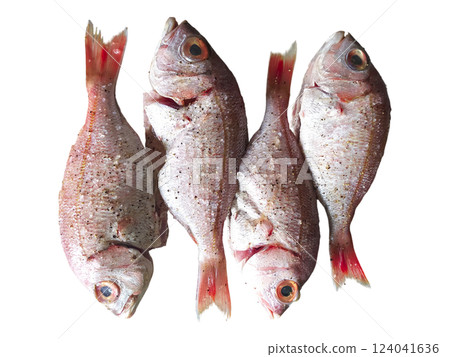 Freshly caught red snapper, seasoned with peppercorns, ready for cooking. A vibrant image ideal for culinary blogs, restaurant menus, or seafood industry publications. Freshly caught red snapper, seasoned with peppercorns, ready for cooking. A vibrant image ideal for culinary blogs, restaurant menus, or seafood industry publications. 124041636