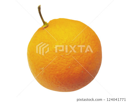 Single ripe orange on white background.  Vibrant color, perfect for healthy eating, fresh juice, or vitamin C concepts. Minimalist style, clean and simple. 124041771