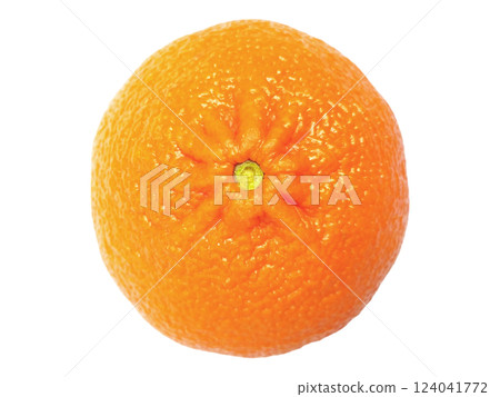 A vibrant, single orange, captured from a directly overhead perspective against a clean white background. 124041772