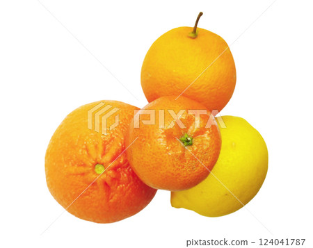 Vibrant citrus fruits oranges and lemon arranged on a white background. A refreshing image perfect for food blogs, health websites, or juice advertisements. 124041787