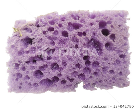 Closeup of a porous, lavendercolored sponge, showcasing its textured surface and irregular shape.  A subtle metaphor for absorption, cleansing, or the passage of time. 124041790