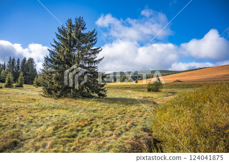 A vast wild expanse showcases the natural beauty of the Ore Mountains in Czech Republic. Lush greenery contrasts with the blue sky, while tall pine trees dot the landscape. 124041875