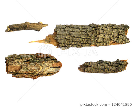 Highres image of textured tree bark pieces, isolated on white.  Perfect for crafting, nature themes, rustic designs, or adding organic elements to your projects. 124041890