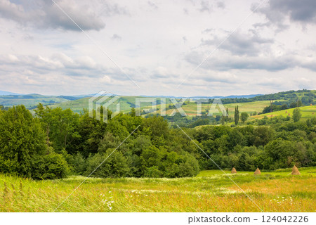 rural landscape with field and mountain in summer. provincial farmland. green nature outdoor with grass and hill. countryside scenery for travel with cloud on sky. tourism background with nice view 124042226