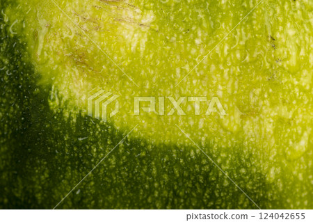 the wet thick and tough pumpkin peel is green, 124042655