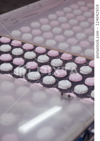 Sweets or Food factory production line. Zephyr and marshmallows or cream roses manufactory Sweets or Food factory production line. Zephyr and marshmallows or cream roses manufactory 124042919