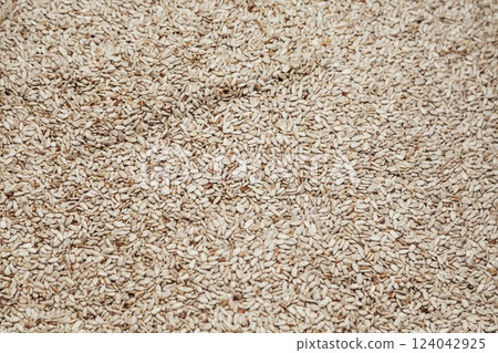 Peeled sunflower seeds background Peeled sunflower seeds background 124042925