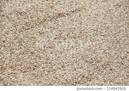 Peeled sunflower seeds background, food industry Peeled sunflower seeds background, food industry 124042926