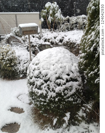花園裡的第一場雪 花園裡的第一場雪 124042930