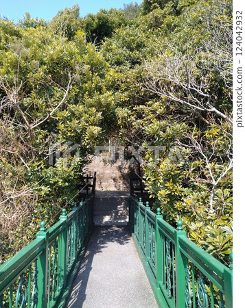 山上的白色咖啡館 山上的白色咖啡館 124042932