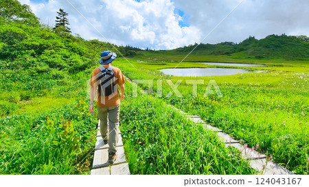 夏季登山火打山、妙高山（天狗花園） 124043167