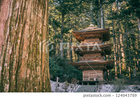 [Kozenji Temple] Three-story pagoda [Komagane City] 124043789