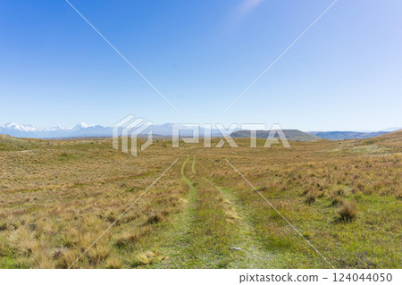 New Zealand plains and mountain scenery 124044050