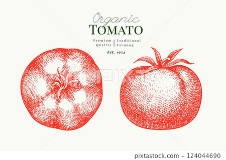 Hand Drawn Tomato Illustration. Retro Vegetable Vector Isolated Image. Old School Farm Food. 124044690