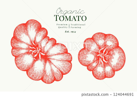 Hand Drawn Tomato Illustration. Retro Vegetable Vector Isolated Image. Old School Farm Food. 124044691