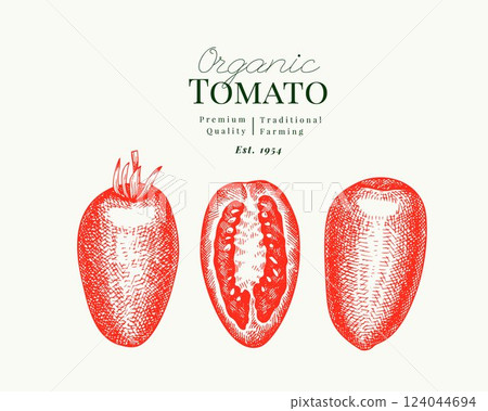 Hand Drawn Tomato Illustration. Retro Vegetable Vector Isolated Image. Old School Farm Food. 124044694