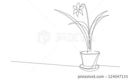 Continuous one line drawing of lily flower in a pot. Vector illustration. Continuous one line drawing of lily flower in a pot. Vector illustration. 124047133