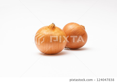 onion  124047838
